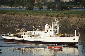 rv calypso - wikipedia